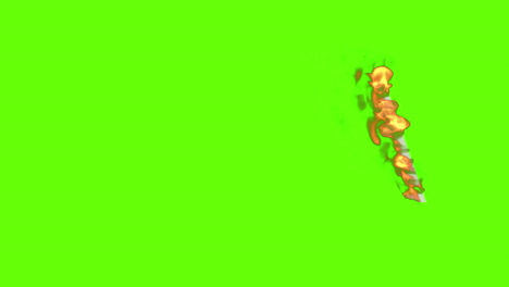 burning madagascar 2000 ariary banknote on green screen