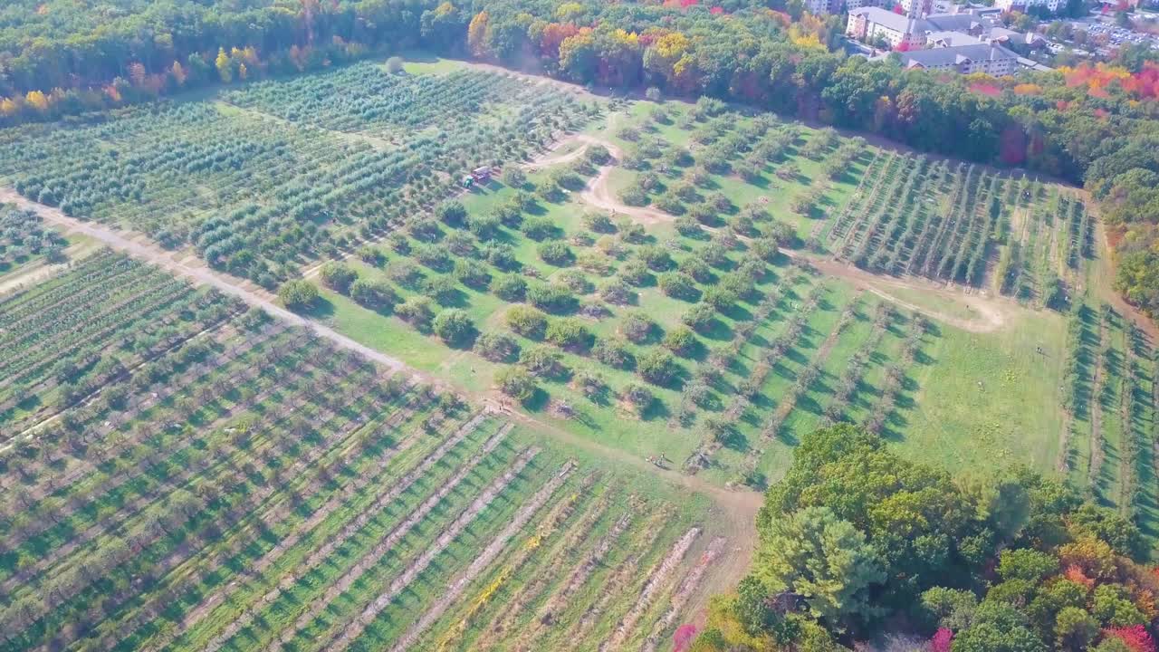 Aerial circle view of cultivated fields in the colours of autumn. Peabody. USA
