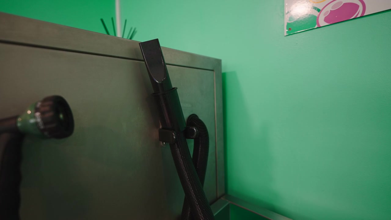 Vacuum Hose Attachment Mounted on Stainless Steel Pet Grooming Station