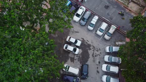 aerial birds eye shot of many cars parking in area and birds flying away from tree,malaysia