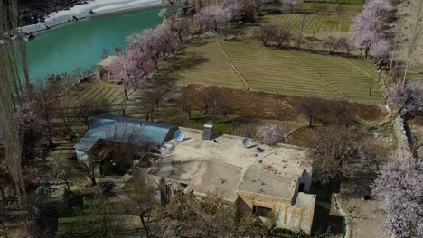 Forward-top-shot-of-blossom-season-in-countryside-of-Skardu,-Pakistan