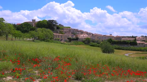 Flores-Silvestres-Florecen-Cerca-De-Una-Hermosa-Ciudad-Antigua-En-La-Provenza,-Francia