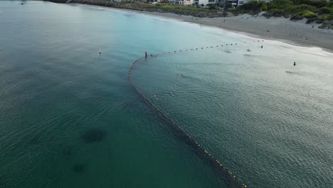 slow-motion of people swimming at morning inside shark protective net, coogee beach at perth in western australia