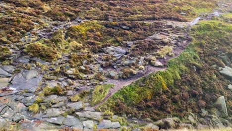 Valley-stream-at-Derbyshire-peak-district-Kinder-Scout-England