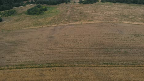 View-of-forest-and-field-in-Kolbudy,-Kaszubia,-pomorskie,-Poland