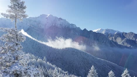 misty bucegi mountains with snow-covered pines under a blue sky
