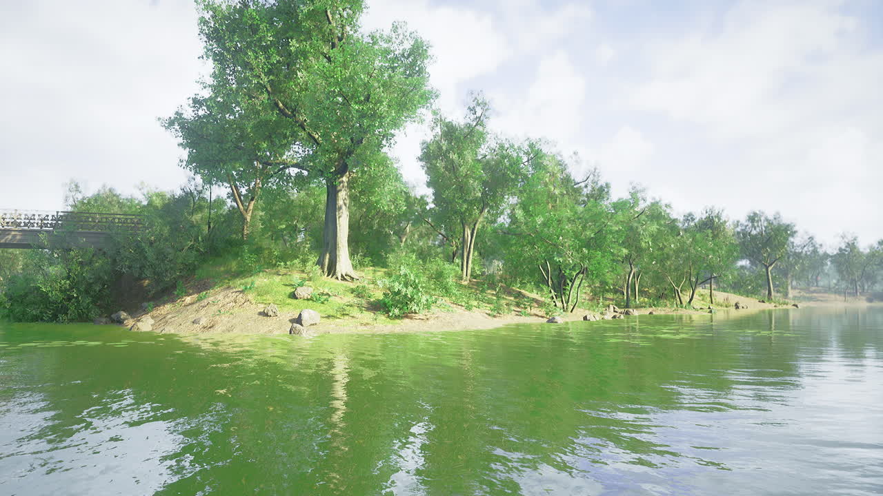 잔잔한 초록색과 낮에는 조용한 물이 있는 평온한 호수변 풍경