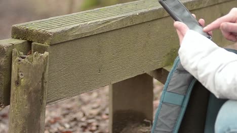 using a smartphone in the countryside