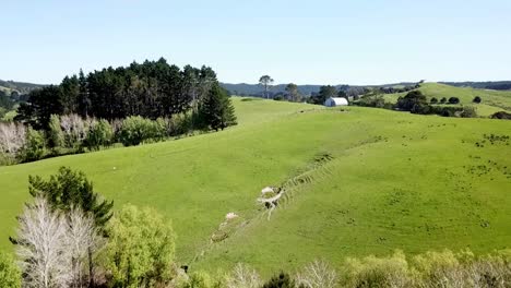 drone shots of farmland, field, open area