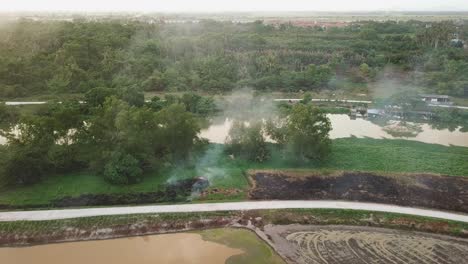 los arbustos verdes en llamas cerca del campo causan fuego abierto.