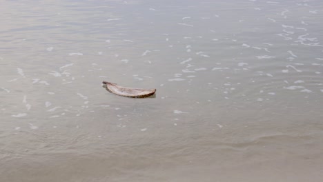 partial durian shell floating gently on the ocean near georgetown, on the island of penang, malaysia