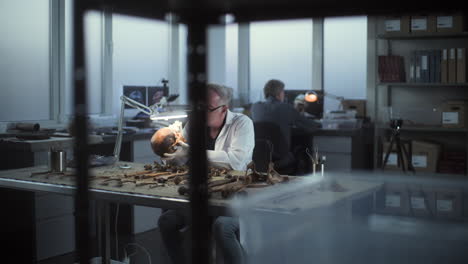 archeologo che esamina resti umani in un laboratorio