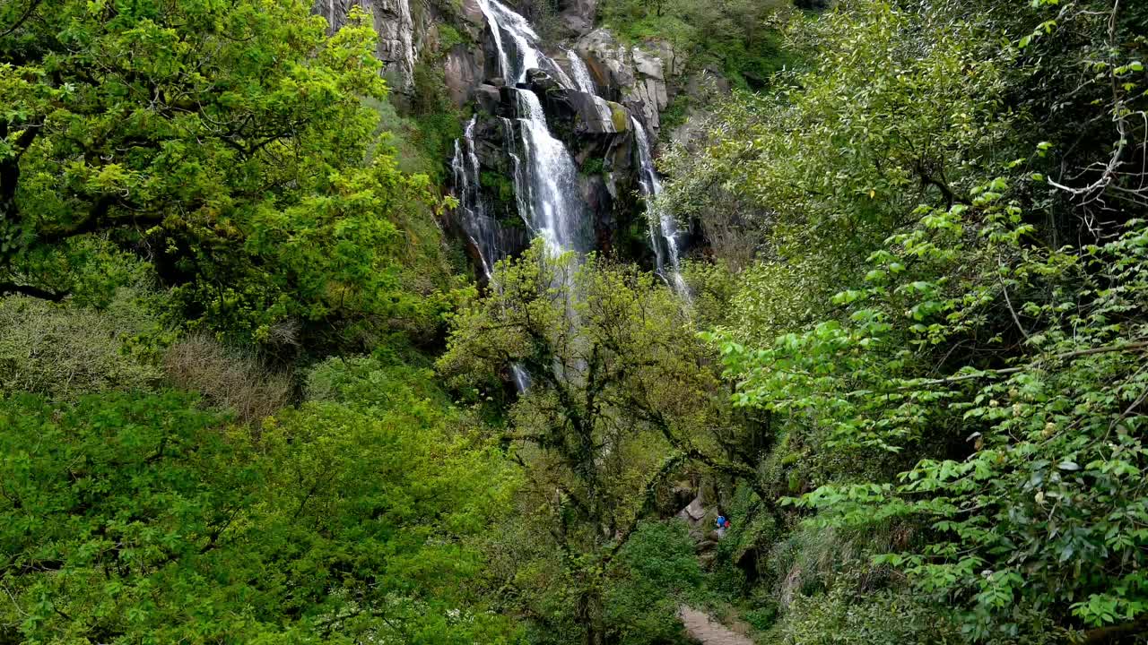 dron aéreo que se eleva lentamente detrás de un árbol para revelar las cascadas de fervenza do toxa que caen en cascada por la pared rocosa