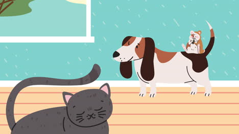 dog with cat and hamster animation