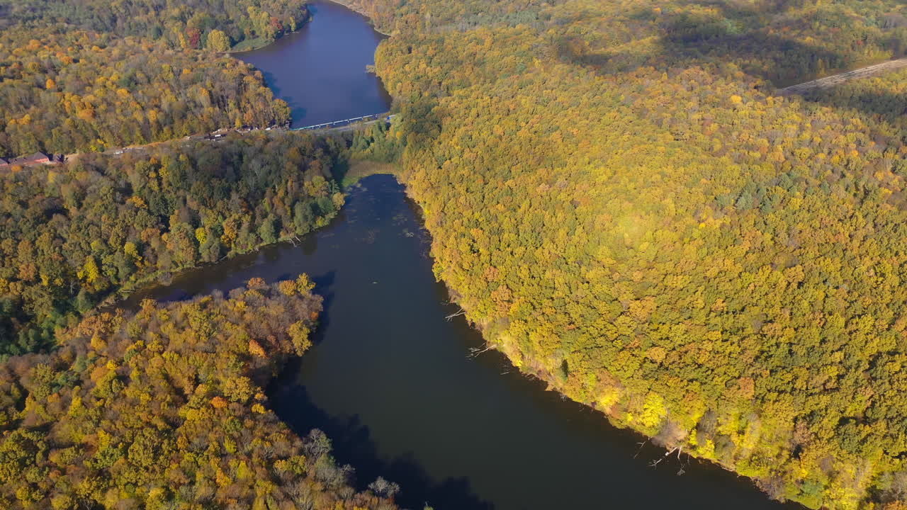 Autumnal Forest and Lake Landscape from Above