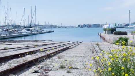 harbor view with old railroad tracks