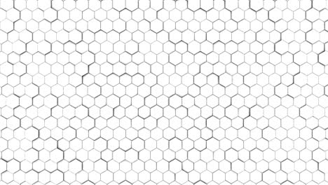 white honeycomb