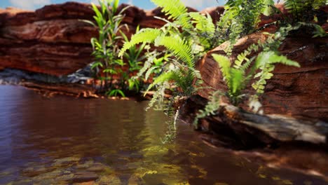 estanque dorado tropical con rocas y plantas verdes