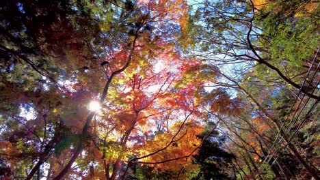 mount takao day trip: explore tokyo's favorite mountain