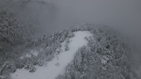 Aerial-footage-of-Forest-in-Winter,-4k-drone,-snow