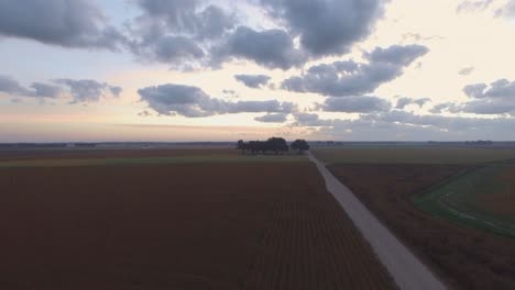 A-group-of-trees-and-dirt-road-in-the-middle-of-southern-farm-fields-at-sunrise