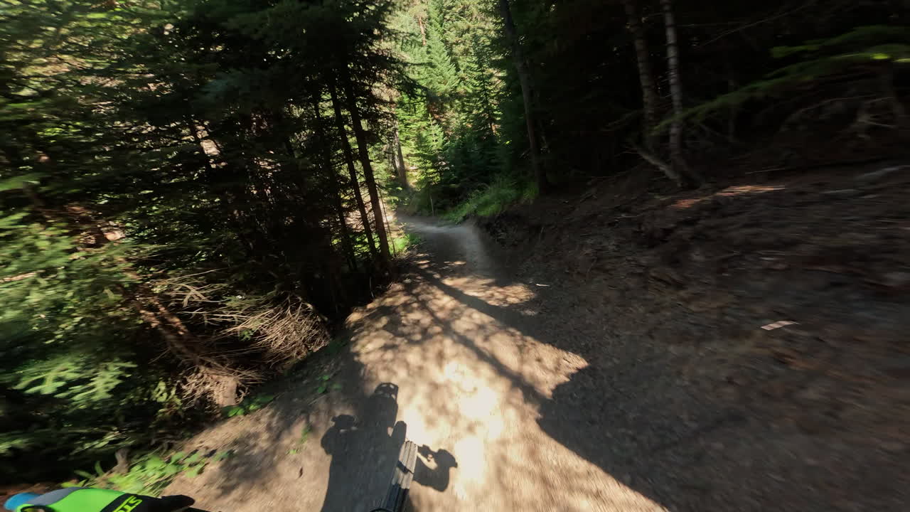 POV in mountain bike su un sentiero forestale soleggiato