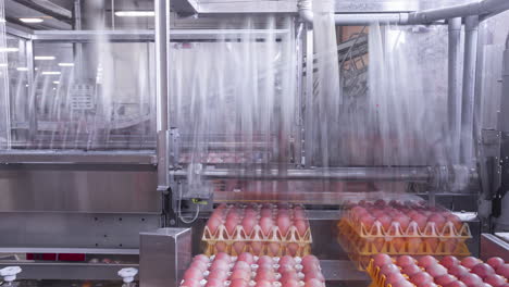 cartons of eggs being sorted an packed at an automated factory - time lapse