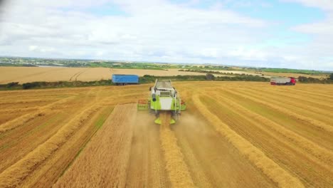 Drone-footage-of-golden-fields-and-combine-harvester