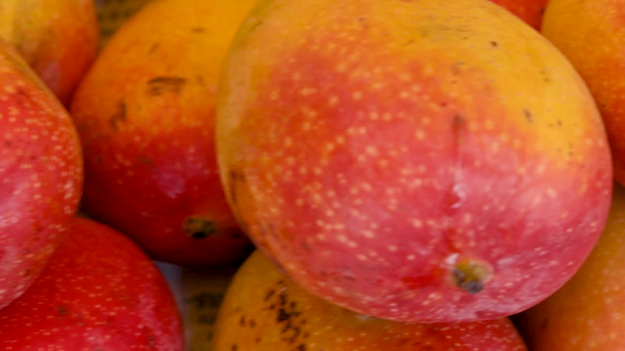mangos tiernos orgánicos frescos de la granja de cerca desde diferentes ángulos