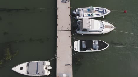 boats moored at a dock