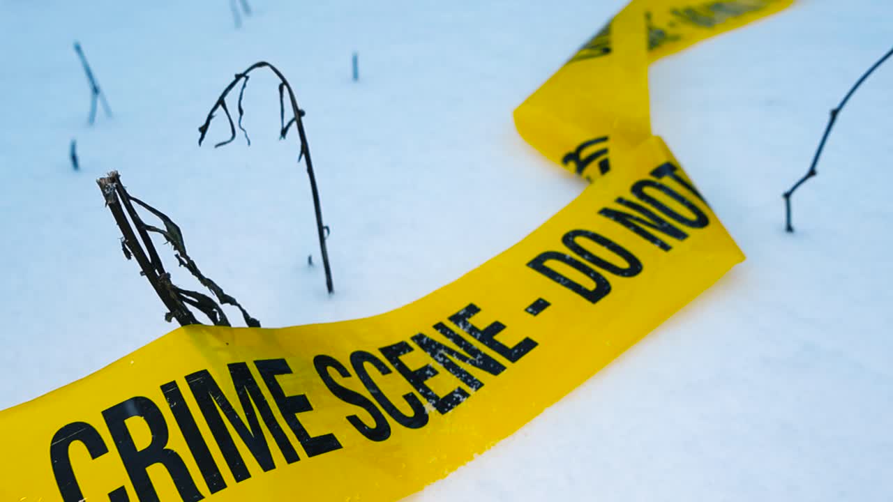 Abandoned cold case Crime scene investigation police science tape left on winter white snow covered ground as snow falls on it. Video glides over the ribbon at close up during day time