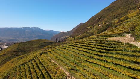 Aerial-Drone-Over-the-Vineyards,-and-the-church-of-st