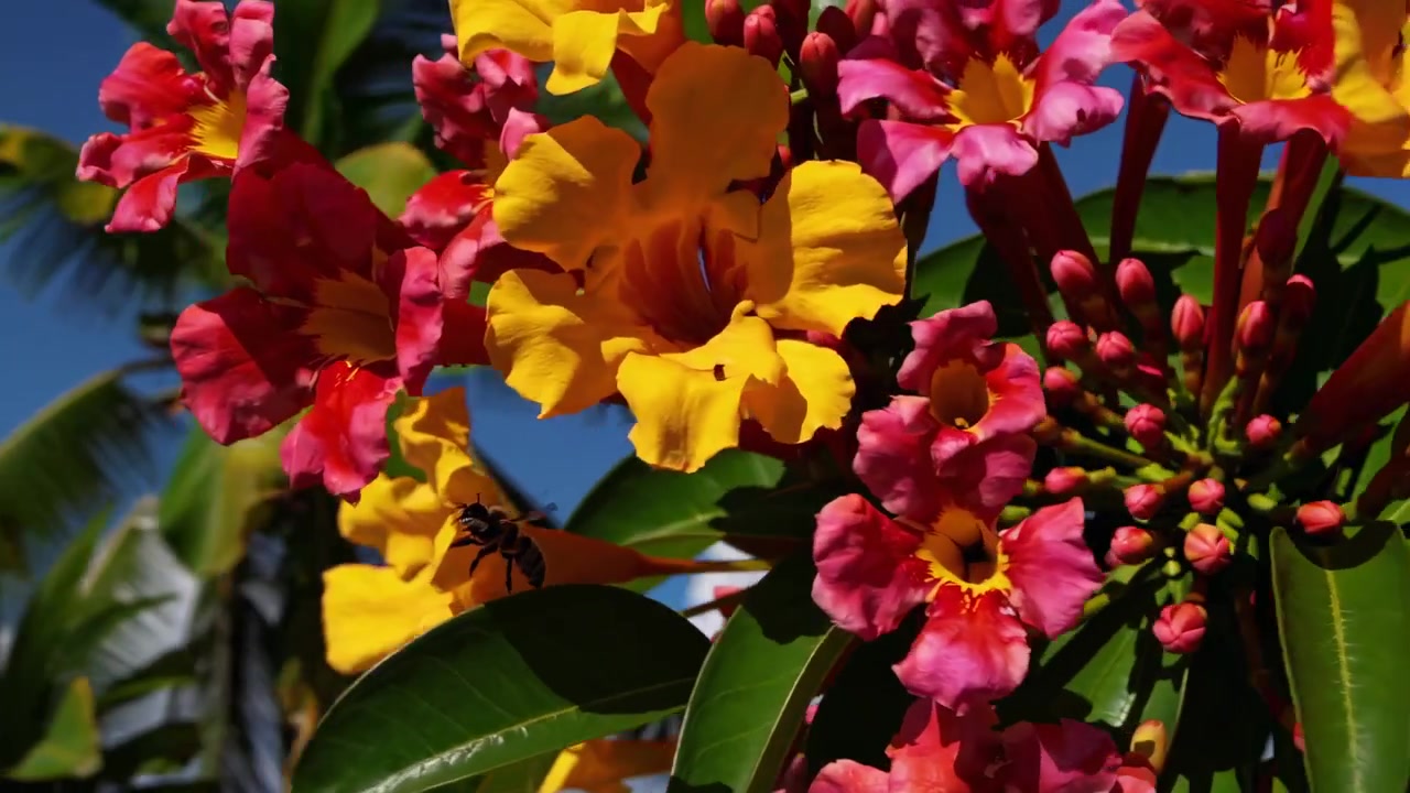 Spiaggia tropicale con palme, montagne e fiori vivaci