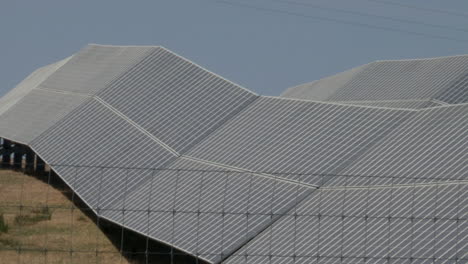 los paneles solares producen energía eléctrica a gran escala