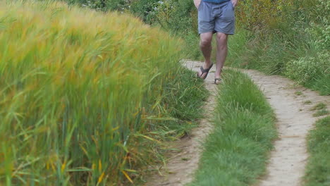 man slowly walks along dirt path near tall wheat field, slow motion