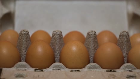 eggs in a carton