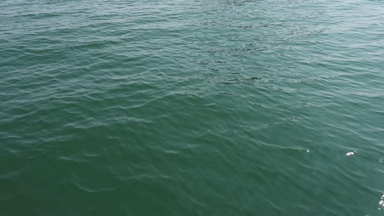 평온한 바다 표면의 부드러운 파도