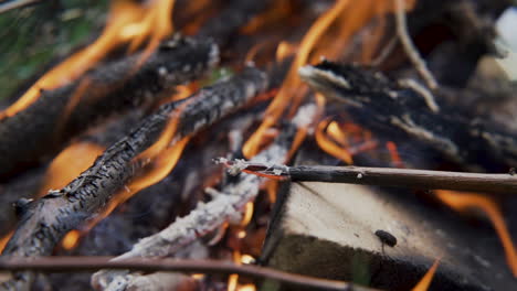 burning wooden beams, close up shot of bonfire outdoors