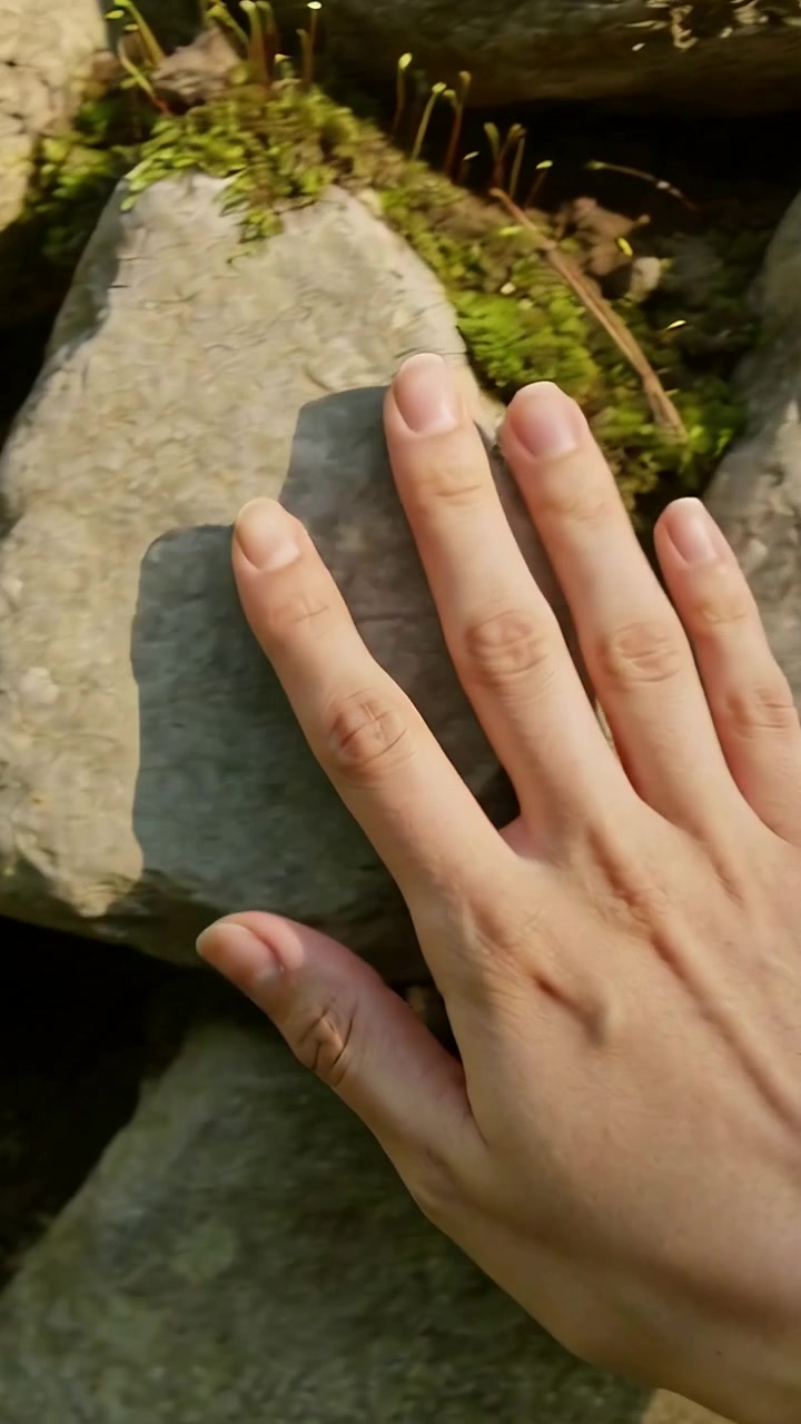 Vertical video: Descending right hand touching flat stones at rock garden, exploring moss textures