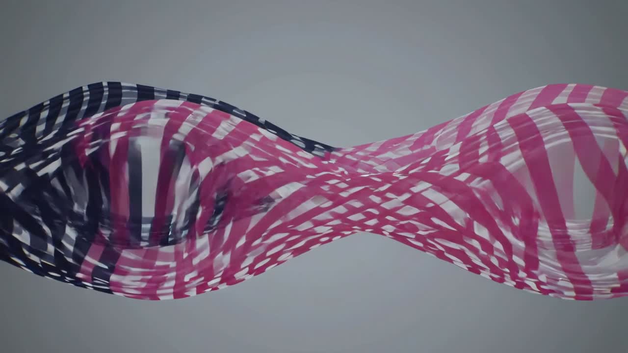 Undulating sheer striped ribbon after hanging at studio grey backdrop, magenta and navy mixing