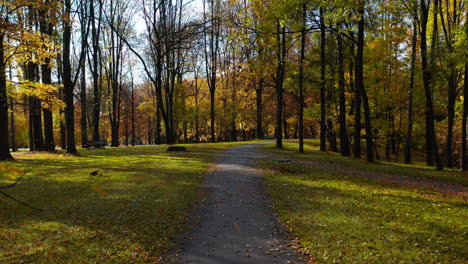 Hojas-Que-Caen-En-El-Parque-Durante-El-Otoño