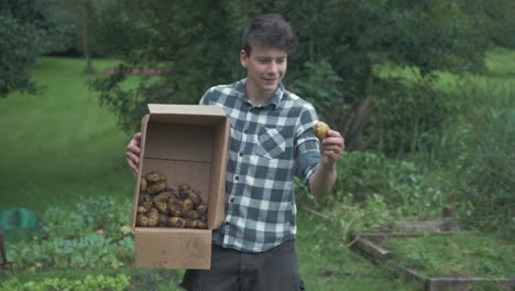 jardinero masculino sosteniendo una caja de papas cosechadas inspecciona una sola papa y está satisfecho