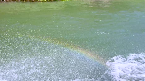 las salpicaduras de agua revelan un vibrante efecto arco iris.