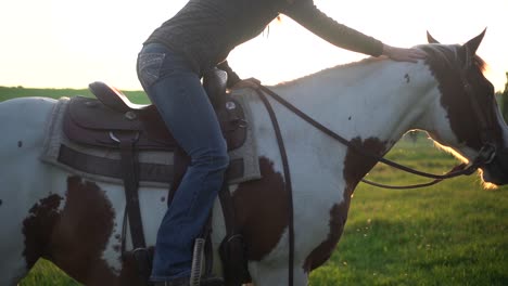 Mujer-Acariciando-Su-Caballo-En-Cámara-Lenta