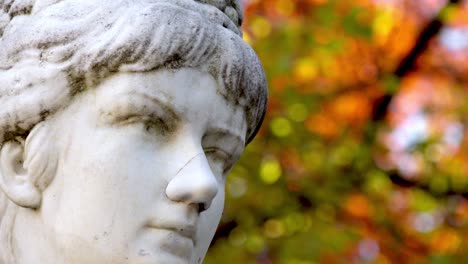 closeup headshot of the monument of empress elisabeth of austria in meran - merano, south tyrol, italy