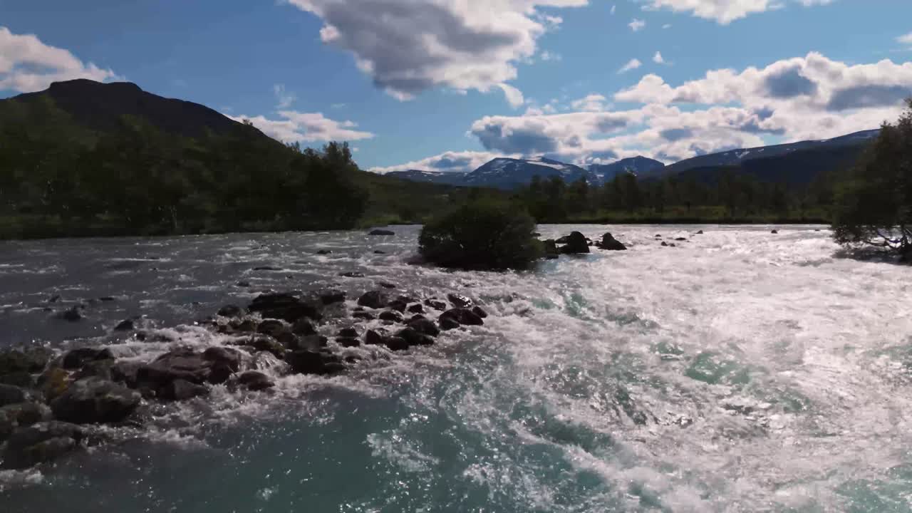Sole che si riflette sulla superficie di un ampio fiume che scorre attraverso una lussureggiante foresta verde in Norvegia in una splendida giornata estiva. Ripresa aerea con avanzamento.