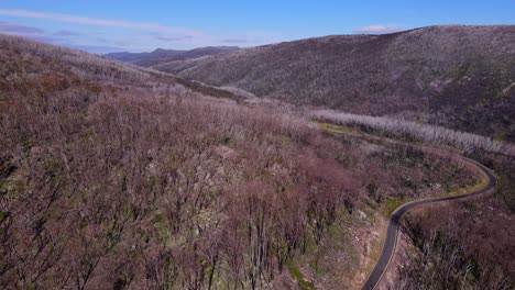 camino sinuoso a través de montañas boscosas en los alpes australianos