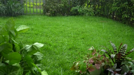 Lluvia-De-Granizo-Desde-El-Cielo-Cayendo-Sobre-El-Césped-Del-Patio-Trasero