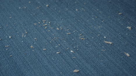 breadcrumbs on a dark gray carpet