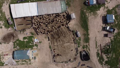 Aerial-View-Sheep-Farm